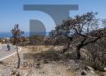 Η φύση δυσκολεύεται να αντιδράσει έναν χρόνο μετά τις φωτιές σε ήδη καμένες και στο παρελθόν περιοχές. Οι φωτογραφίες έχουν ληφθεί τον Ιούνιο 2024 από την  είναι από τις περιοχές Ασκληπιείο Ρόδου, Κιοτάρι προς Ασκληπιείο και Πανόραμα Θάρρι